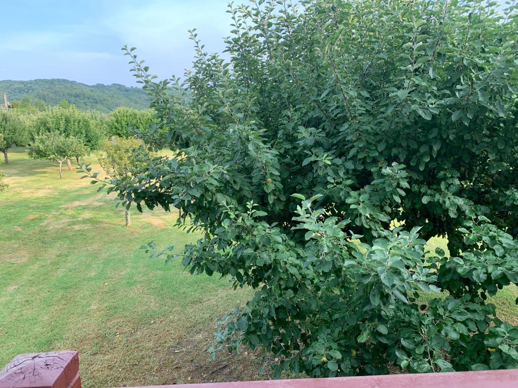Apartament Superbe Duplex Les Belles Rives Argentat Zewnętrze zdjęcie